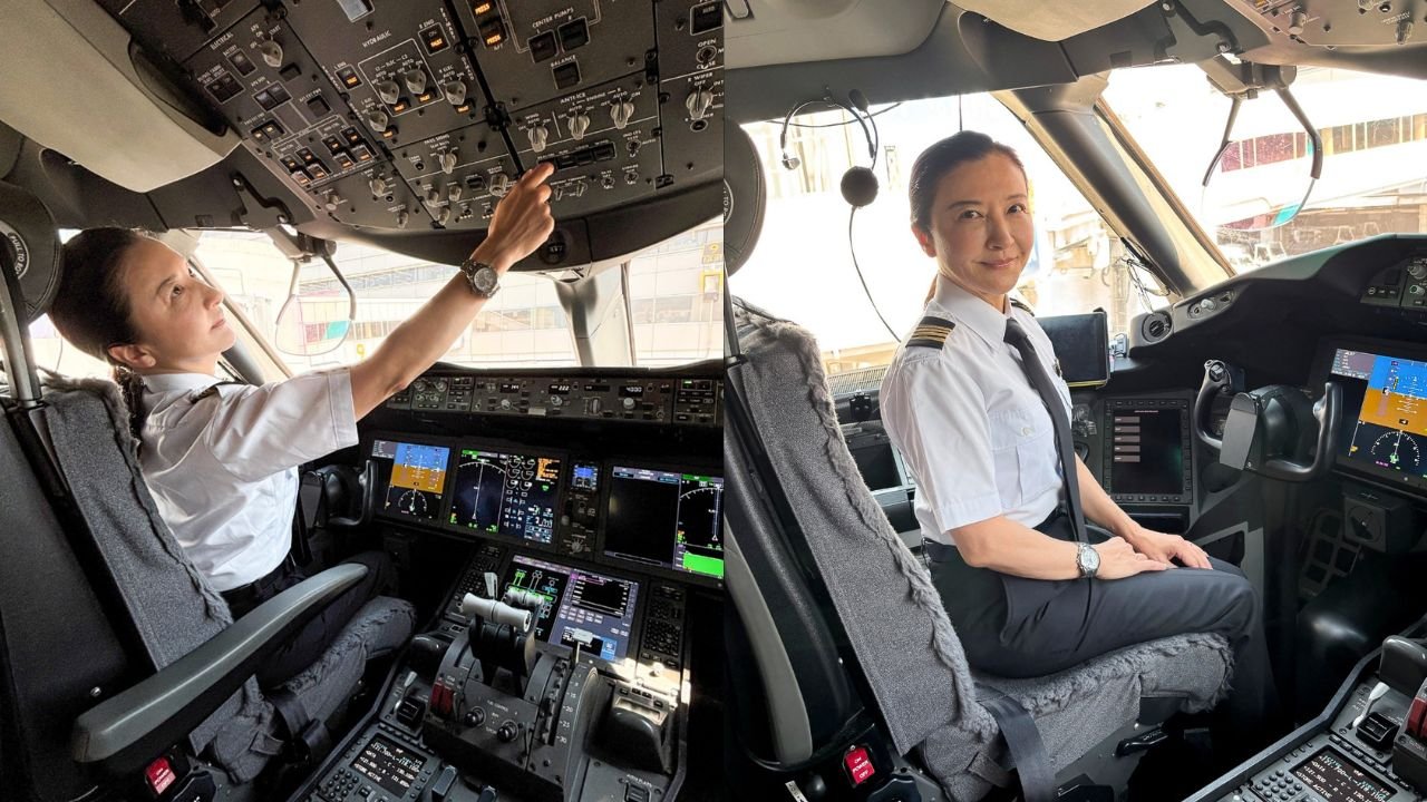 Ari Fuji Japan Airlines