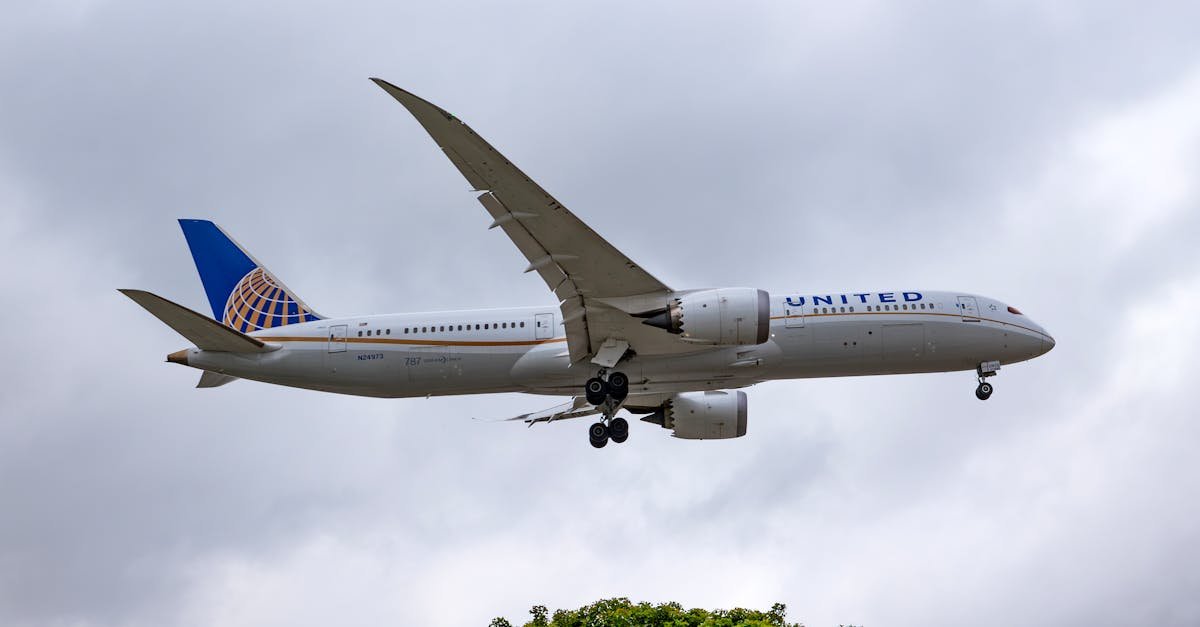 United 787 Engine Fire at LAX: Terrifying Video Shows Passengers Flee in Slides, All We Know So Far
