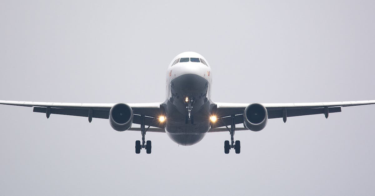 What Happened on the Emergency Frequency? FAA Investigates Pilots Heard Meowing and Woofing